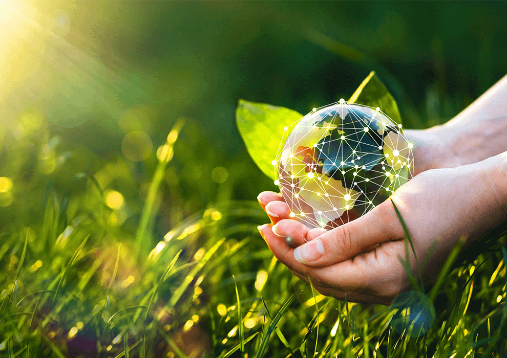 person holding a globe